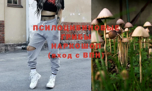 тгк Аркадак