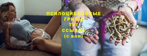 тгк Аркадак